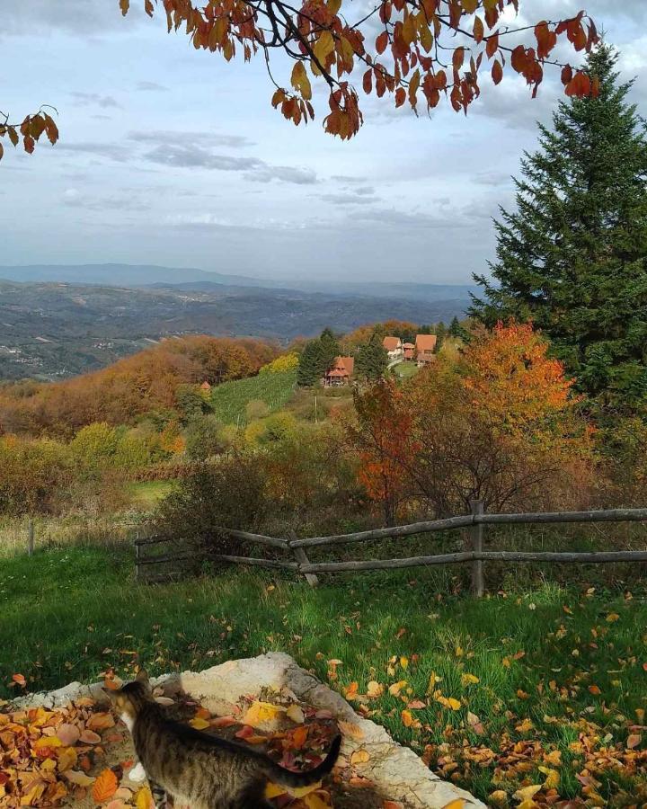 Apartmani Planinska Kuca, Jagodnja Krupanj Dış mekan fotoğraf