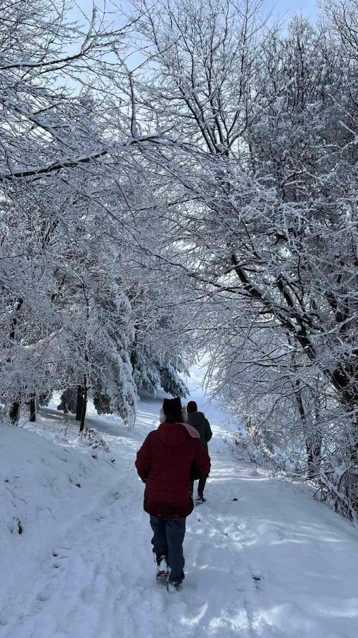 Apartmani Planinska Kuca, Jagodnja Krupanj Dış mekan fotoğraf
