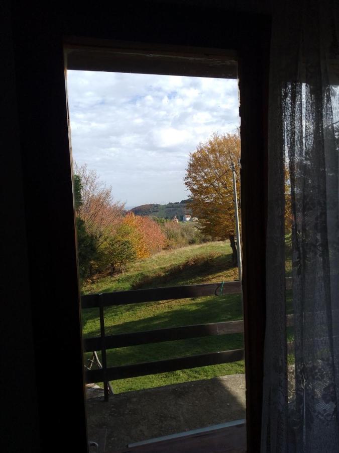 Apartmani Planinska Kuca, Jagodnja Krupanj Dış mekan fotoğraf