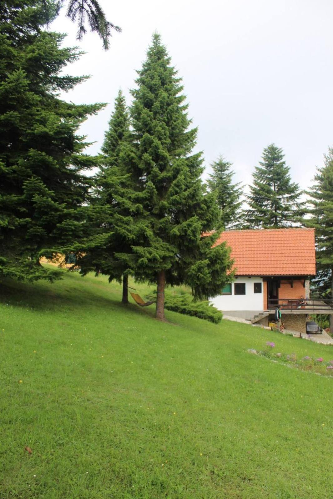 Apartmani Planinska Kuca, Jagodnja Krupanj Dış mekan fotoğraf